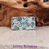 Sea Life On The Seashore