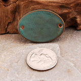 Rustic Sea Turtle