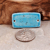 Sea Life On The Seashore