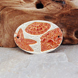 Sea Shells On The Sea Shore