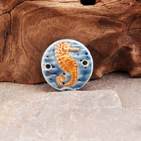 Swimming Seahorse