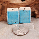 Sea Life On The Seashore