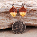 Indian Summer Acorns