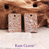 Sea Life On The Seashore