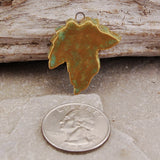 Green Grass Leaf