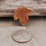 Ginger Root Leaf
