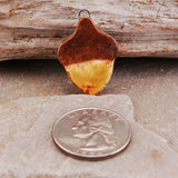 Indian Summer Acorn