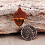 Autumn Acorn