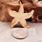 Ceramic Spiny Starfish