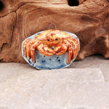 Mr. Crabby