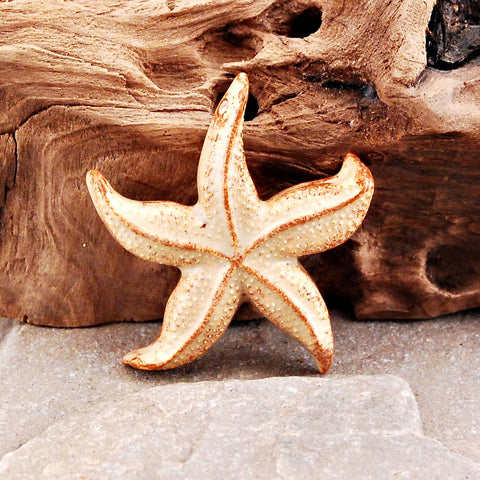 Ceramic Spiny Starfish